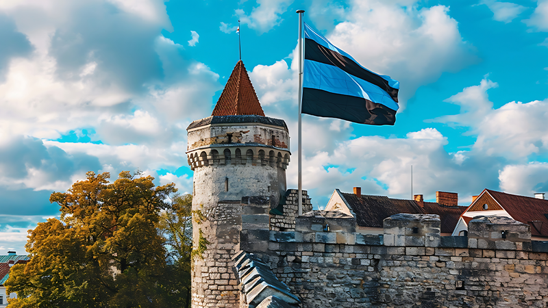 Estonya Dil Programı